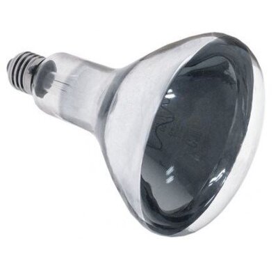 IFT Lampe klar 240V, 250W, E27